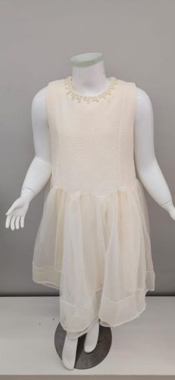 صورة فستان بيج نفاش أنيق مع الؤلؤ على العنق